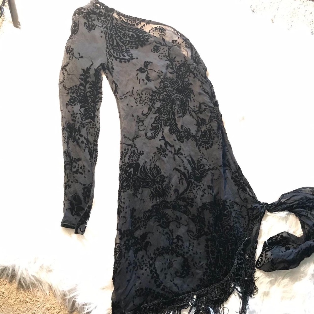Petite sheer dress
